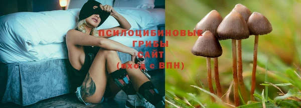 хмурый Балабаново