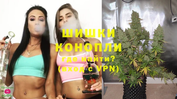 трава Сосновоборск