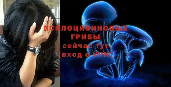 хмурый Балабаново